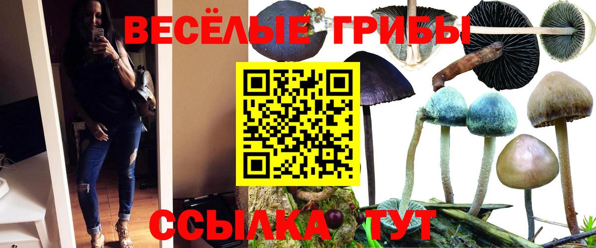 Пугачёв  Псилоцибиновые грибы Cubensis  купить закладку  Вход с VPN 